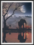 Elefant 5d Diy Diamond Painting Diamant Malerei Set DE487655990