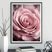 Rose 5d Diy Diamond Painting Diamant Malerei Set DP2396