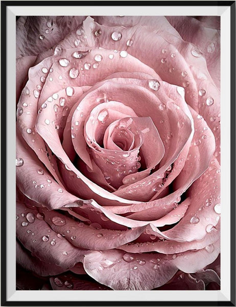 Rose 5d Diy Diamond Painting Diamant Malerei Set DP2396