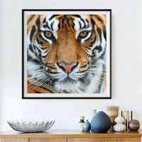 Tiger 5d Diy Diamond Painting Diamant Malerei Set DS11566398