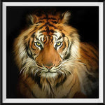 Tiger 5d Diy Diamond Painting Diamant Malerei Set DS6825186