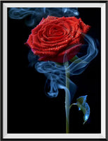 Rose 5d Diy Diamond Painting Diamant Malerei Set DS8586664