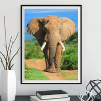 Elefant 5d Diy Diamond Painting Diamant Malerei Set DS967391