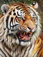 Tiger 5d Diy Diamond Painting Diamant Malerei Set FL2276