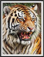 Tiger 5d Diy Diamond Painting Diamant Malerei Set FL2276