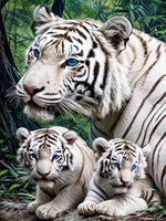 Tiger 5d Diy Diamond Painting Diamant Malerei Set FL4444