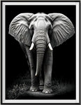 Elefant 5d Diy Diamond Painting Diamant Malerei Set FL4447