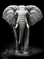 Elefant 5d Diy Diamond Painting Diamant Malerei Set FL4447