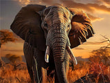 Elefant 5d Diy Diamond Painting Diamant Malerei Set FL8157