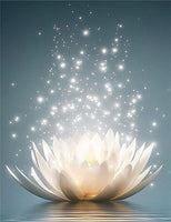 Lotus 5d Diy Diamond Painting Diamant Malerei Set FL9644