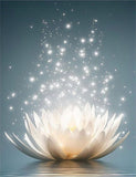 Lotus 5d Diy Diamond Painting Diamant Malerei Set FL9644