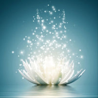 Lotus 5d Diy Diamond Painting Diamant Malerei Set VM9727