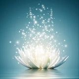 Lotus 5d Diy Diamond Painting Diamant Malerei Set VM9727