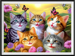 Katze 5d Diy Diamond Painting Diamant Malerei Set MJ1052