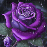 Rose 5d Diy Diamond Painting Diamant Malerei Set MJ2656