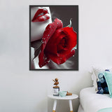 Rose 5d Diy Diamond Painting Diamant Malerei Set MJ2701