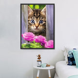 Katze 5d Diy Diamond Painting Diamant Malerei Set MJ2883