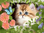 Katze 5d Diy Diamond Painting Diamant Malerei Set MJ2884