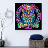 Eule 5d Diy Diamond Painting Diamant Malerei Set MJ7134