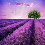 Natur 5d Diy Diamond Painting Diamant Malerei Set NA0047