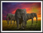 Elefant 5d Diy Diamond Painting Diamant Malerei Set PX4699717