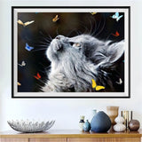 Katze 5d Diy Diamond Painting Diamant Malerei Set PX5048891