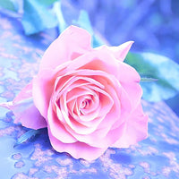 Rose 5d Diy Diamond Painting Diamant Malerei Set AF9313