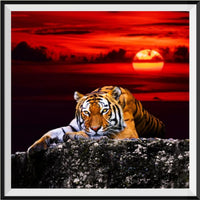 Tiger 5d Diy Diamond Painting Diamant Malerei Set SS1673358640