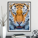 Tiger 5d Diy Diamond Painting Diamant Malerei Set SS639256837