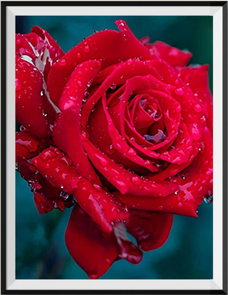 Rose 5d Diy Diamond Painting Diamant Malerei Set VM4018