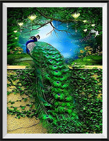 Pfau 5d Diy Diamond Painting Diamant Malerei Set VM72865