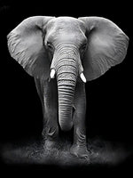 Elefant 5d Diy Diamond Painting Diamant Malerei Set VM7350