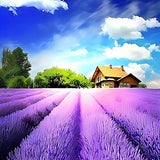 Natur 5d Diy Diamond Painting Diamant Malerei Set VM8693