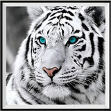 Tiger 5d Diy Diamond Painting /Diamant Malerei Set QB6431