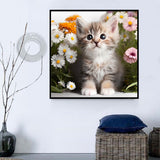 Katze 5d Diy Diamond Painting Diamant Malerei Set MJ1040