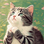 Katze 5d Diy Diamond Painting Diamant Malerei Set MJ1044