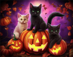 Katze 5d Diy Diamond Painting Diamant Malerei Set MJ1053