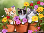 Katze 5d Diy Diamond Painting Diamant Malerei Set MJ1054