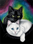 Katze 5d Diy Diamond Painting Diamant Malerei Set MJ1159