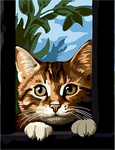 Katze 5d Diy Diamond Painting Diamant Malerei Set MJ1172
