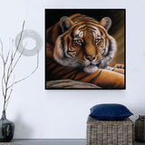 Tiger 5d Diy Diamond Painting Diamant Malerei Set MJ1204