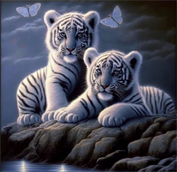Tiger 5d Diy Diamond Painting Diamant Malerei Set MJ1208