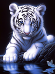 Tiger 5d Diy Diamond Painting Diamant Malerei Set MJ1265