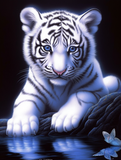 Tiger 5d Diy Diamond Painting Diamant Malerei Set MJ1265