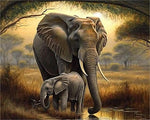 Elefant 5d Diy Diamond Painting Diamant Malerei Set MJ1390