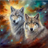 Wolf 5d Diy Diamond Painting Diamant Malerei Set MJ1394