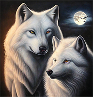 Wolf 5d Diy Diamond Painting Diamant Malerei Set MJ1396