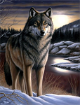 Wolf 5d Diy Diamond Painting Diamant Malerei Set MJ1466
