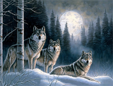 Wolf 5d Diy Diamond Painting Diamant Malerei Set MJ1494