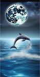 Delfin 5d Diy Diamond Painting Diamant Malerei Set MJ1738